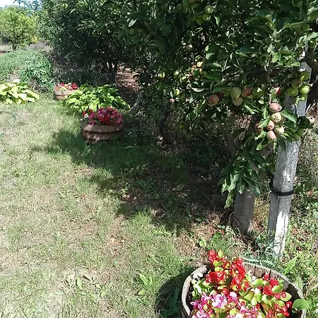 къща градината Krapec