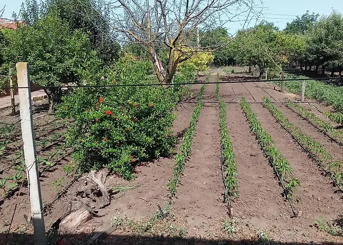 къща градината Hébergement de vacances *