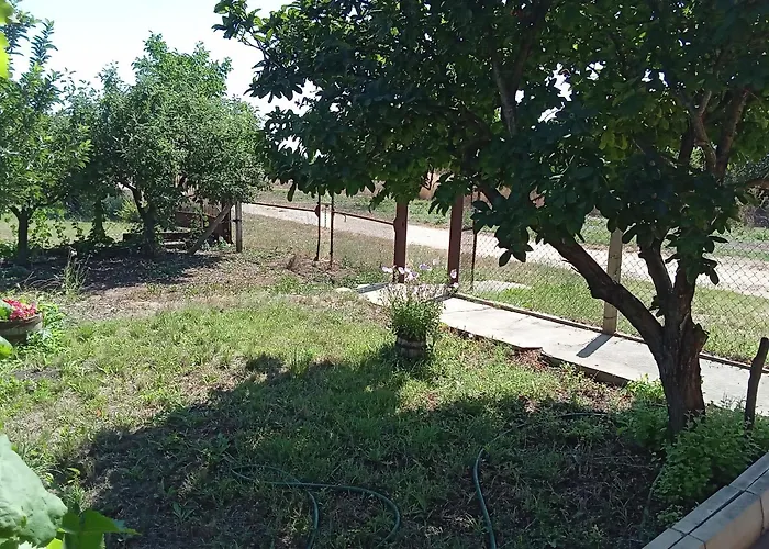 къща градината Hébergement de vacances