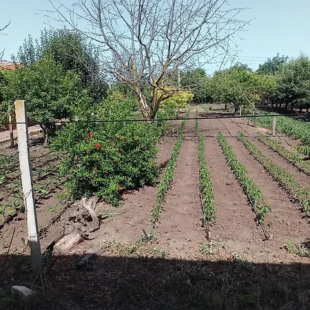 къща градината Tatil Evi *