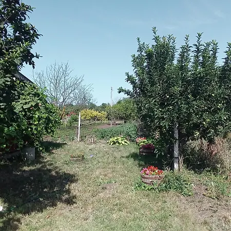 къща градината Krapets (Dobrich)