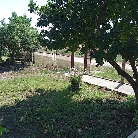къща градината בית נופש